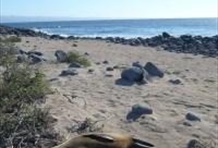 Millenium - Luxury Yacht Cruise